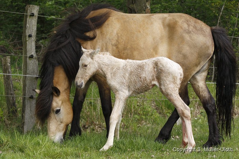 Hjoerdis 33 Min alt (3).JPG